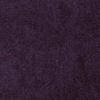 09 Viola