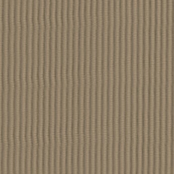 Sahara